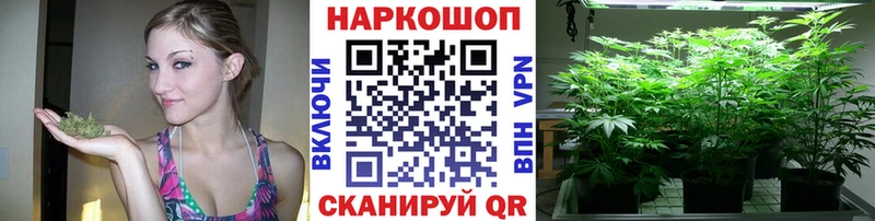 Виды наркоты Унеча А ПВП МЕФ ГАШИШ Бошки Шишки АМФЕТАМИН COCAIN