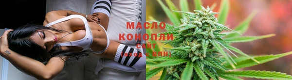 прущие грибы Балахна