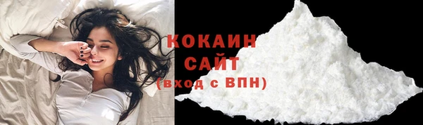 прущие грибы Балахна