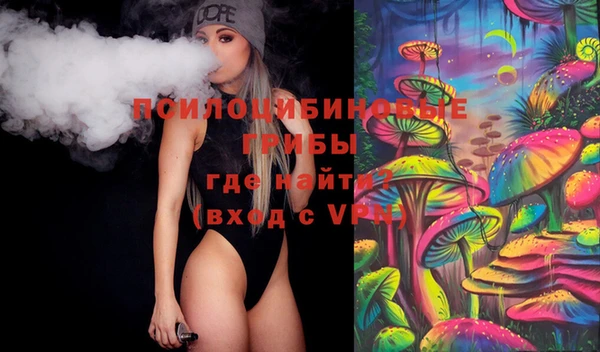 прущие грибы Балахна