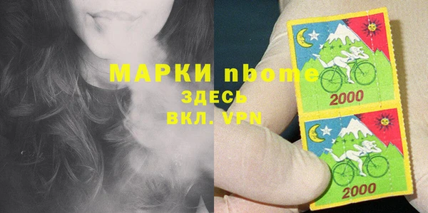 прущие грибы Балахна