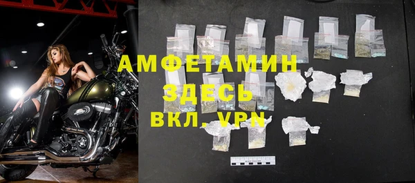 прущие грибы Балахна