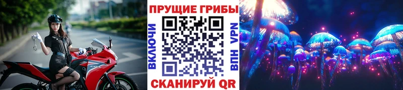 МЕГА ссылки  Унеча  Псилоцибиновые грибы MAGIC MUSHROOMS 