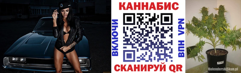 Бошки Шишки план  Унеча 